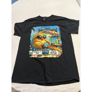 Oceans Calling 2025 Festival Green Day Fall Out Boy Weezer Black T-Shirt Size L